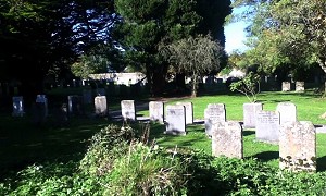 Quaker Graveyard Rosenallis